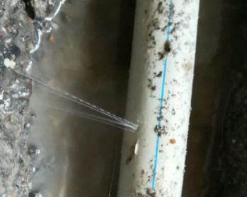 梓潼卫生间测漏水多少钱